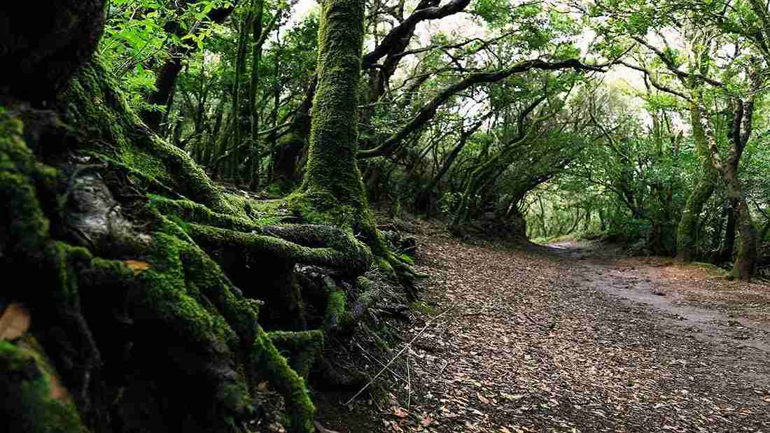 Scenic Location and Natural Environment