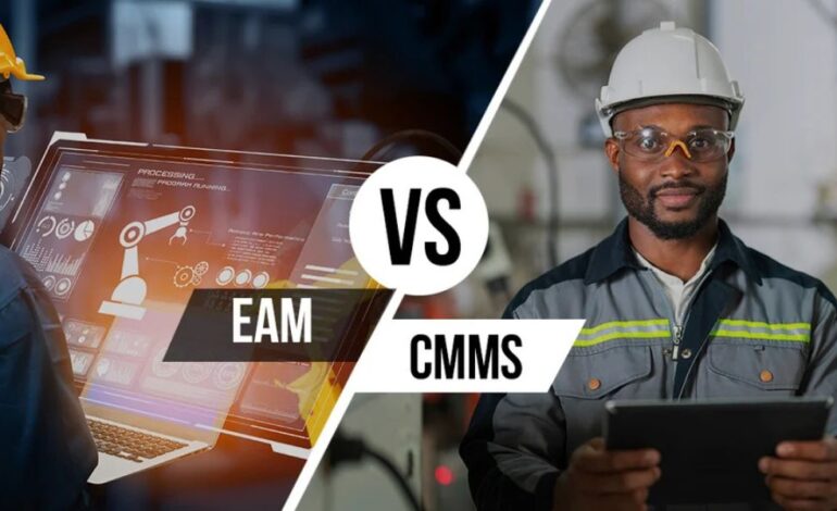 Your Guide to the EAMS Case Search System