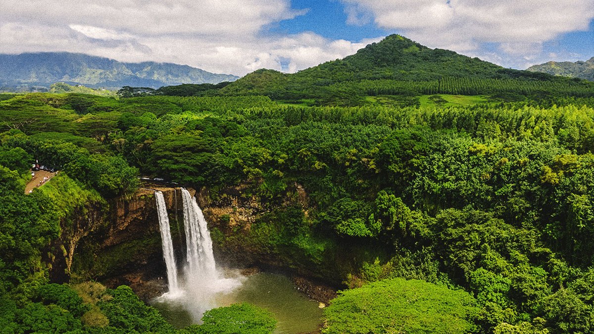 Things to Do in Kauai: Best Attractions, Tours & Activities