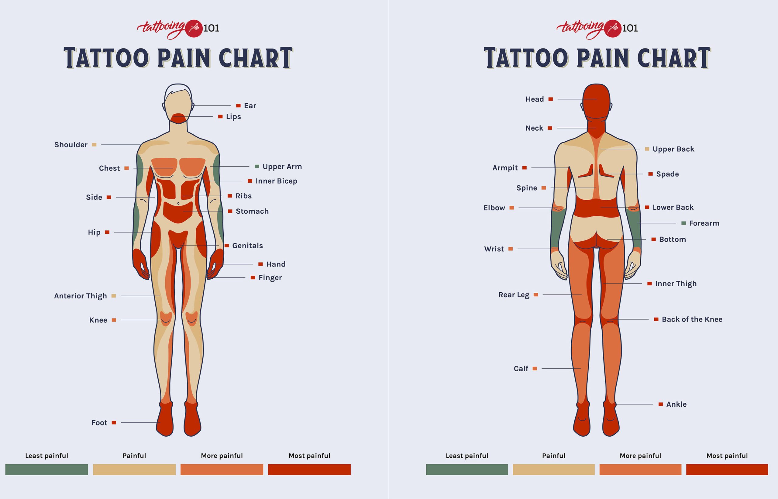 Tattoo Pain Chart: What You Need to Know
