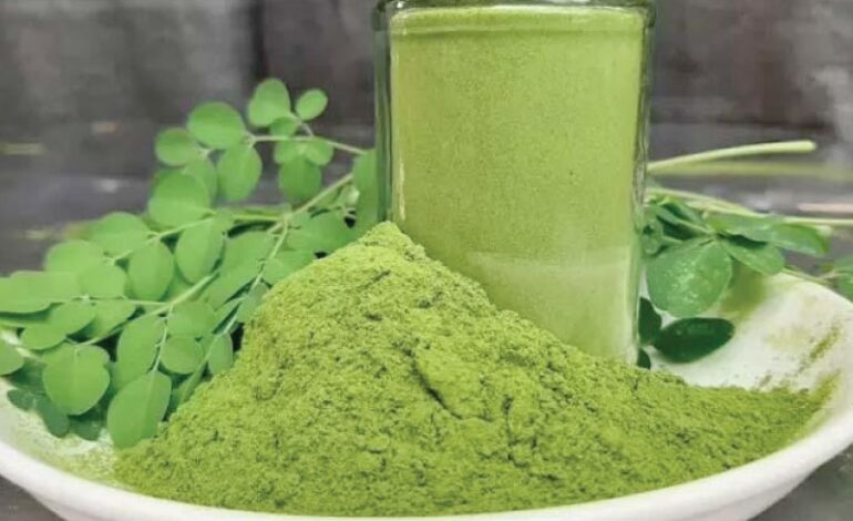 Moringa Powder USA Rise: Superfood Energy Boost