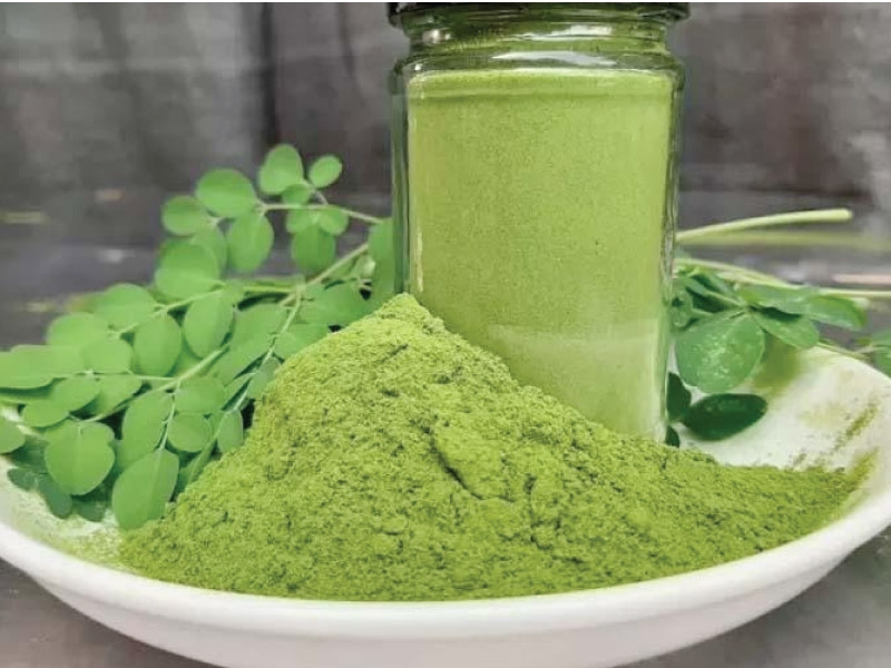Moringa Powder USA Rise: Superfood Energy Boost
